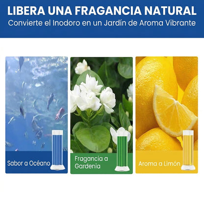 Sello de Gel Limpiador para inodro | 🎁OFERTA por 3 unidades