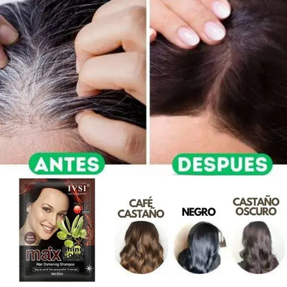 Shampoo Cubrecanas 100% Natural 🍃 Tratamiento x1 año || Original