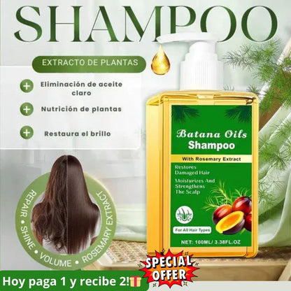 Shampoo de aceite de batana con extracto de romero | 🎁 Paga 1 y recibe otro gratis!!