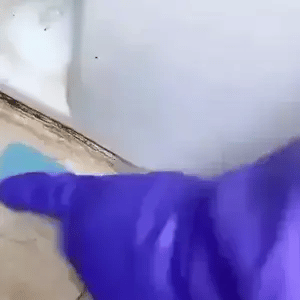 Ácido oxálico limpiador de manchas